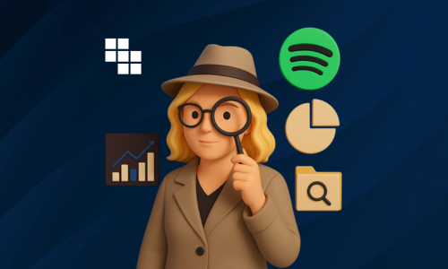 kubit data detective